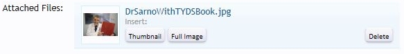 ImageAsAttachedFileCropped.JPG