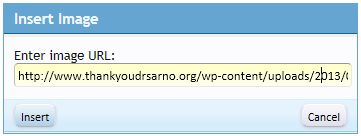 InsertImageBlueBox.JPG