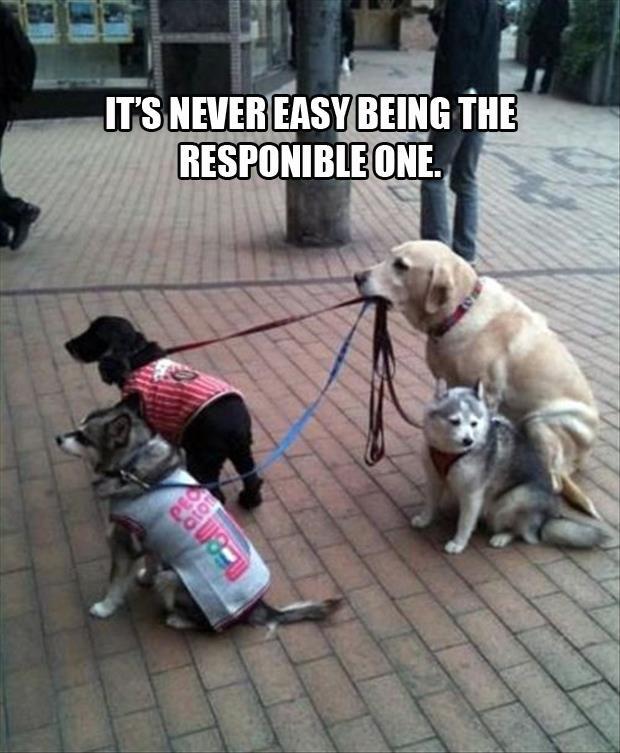Being the Responsible One.jpg