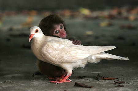 CutePic3.jpg