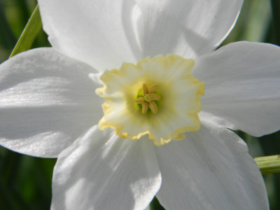 DSCN4606a.JPG