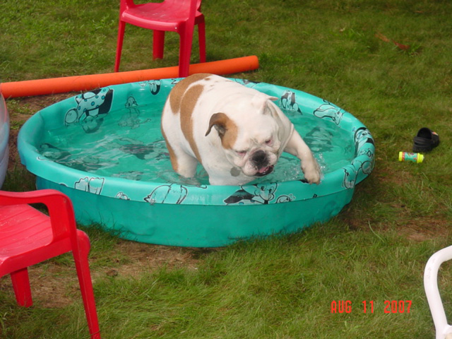 MaxSwimming2[1].jpg