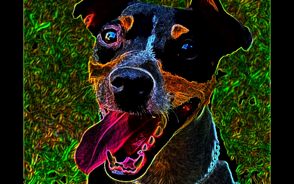 PaperCamera2012-05-15-00-09-47.jpg