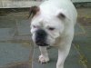 IMG00093-20120416-1738.jpg
