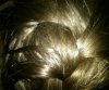 frenchbraid.jpg frenchbraid.jpg