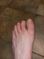 1683811500531.jpg 1683811500531.jpg
