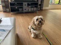 IMG_5405.jpeg