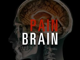 PAIN BRAIN DOCUMENTARY