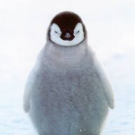 PotentialPenguin