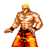 Geese Howard