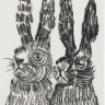 rabbits