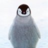 PotentialPenguin