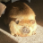 sleepyjay