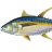 Yellowfin89
