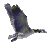 catkins